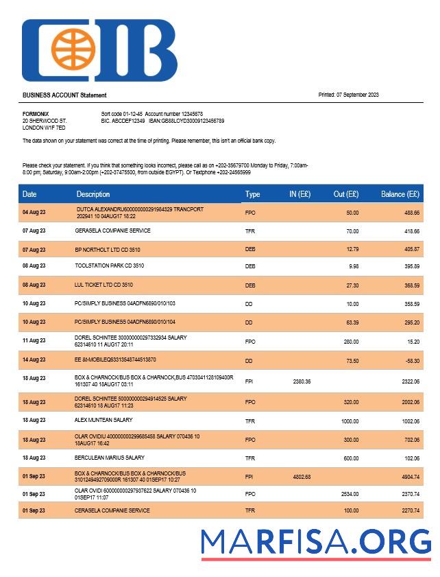 Realistic CIB Bank enterprise account statement Word and PDF template